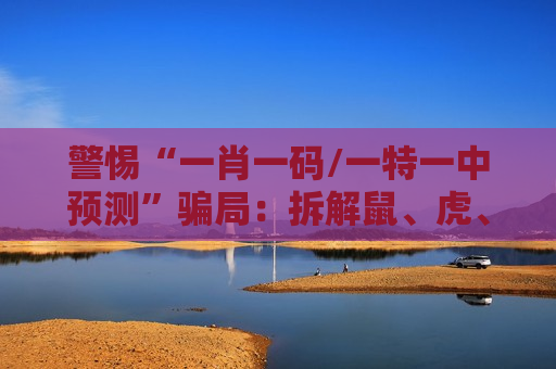 警惕“一肖一码/一特一中预测”骗局：拆解鼠、虎、龙、羊与03-12-25-31-40-47:T21背后的诈骗陷阱