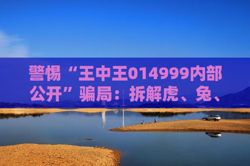警惕“王中王014999内部公开”骗局：拆解虎、兔、龙、蛇与03-12-25-31-40-47:T22背后的诈骗陷阱