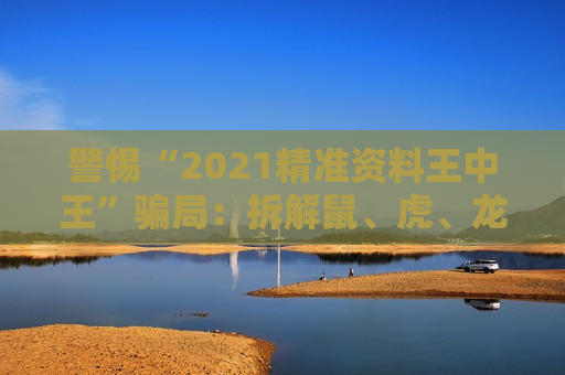 警惕“2021精准资料王中王”骗局：拆解鼠、虎、龙、马与03-12-25-31-40-45:T22背后的诈骗陷阱