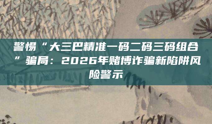 警惕“大三巴精准一码二码三码组合”骗局:2026年赌博诈骗新陷阱风险警示